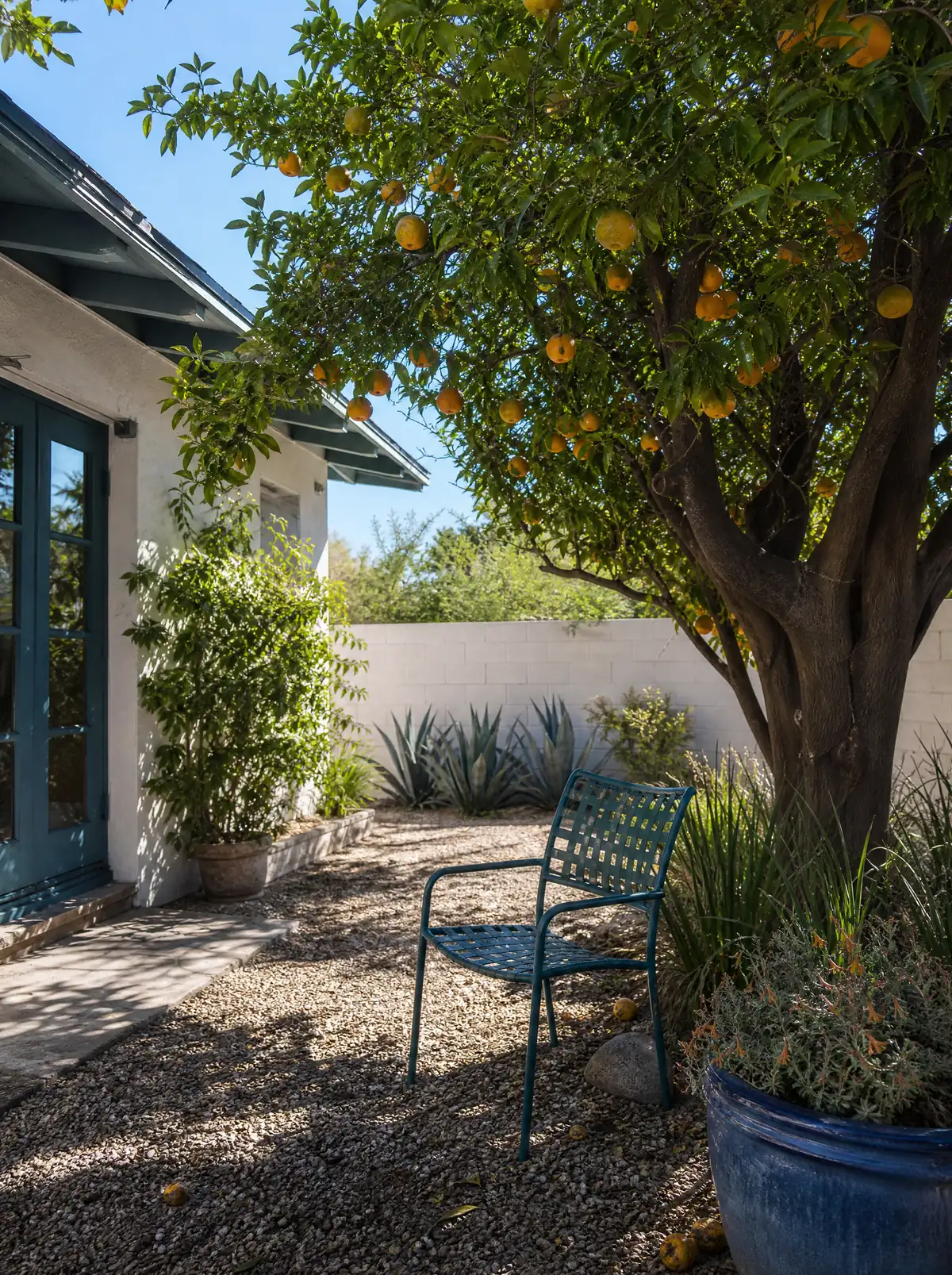 A shaded Phoenix backyard with a mature citrus tree heavy with fruit, a teal metal garden chair on gravel and a low white block wall