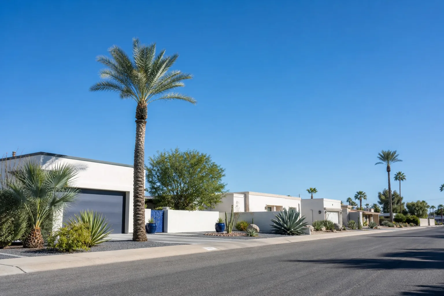 A calm Phoenix, Arizona residential street in clear mid-morning light, with low stucco homes, mature palms and a bright open sky